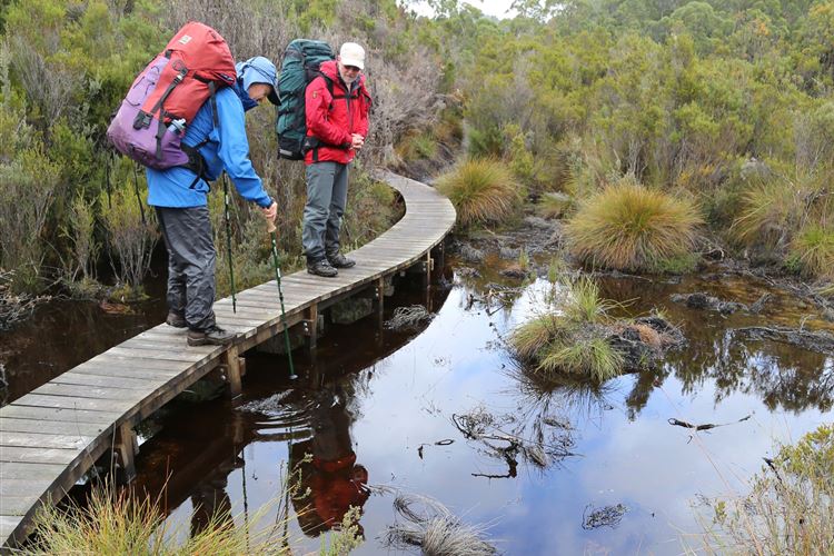 Australia Tasmania, Frenchman's Cap, New track over old, Walkopedia